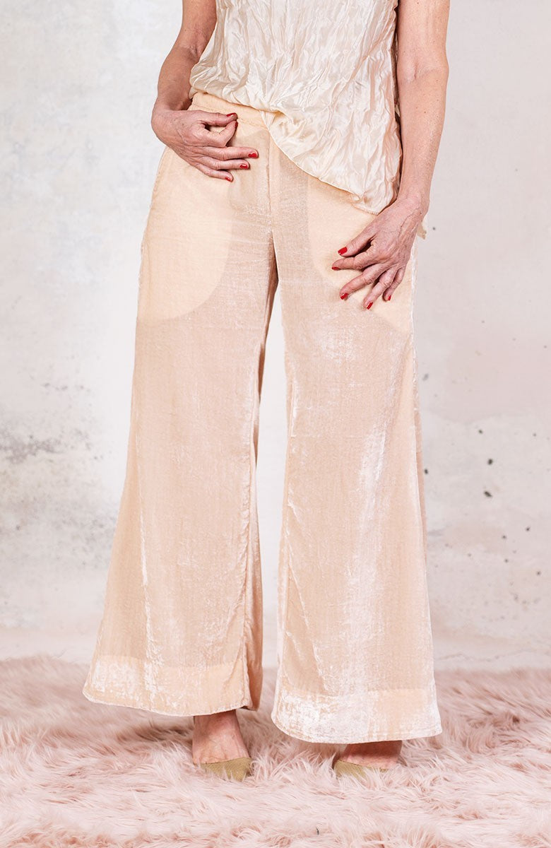 JAPAN VELVET TROMBETTA PANT